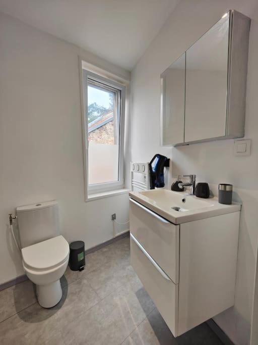 La Feline - Duplex - Vieux Valenciennes - Familial Daire Dış mekan fotoğraf